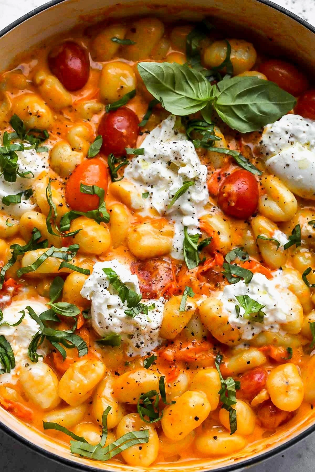 Plate of Minute Creamy Tomato Gnocchi with fresh Burrata cheese